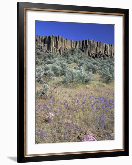 Blooming Phlox, Larkspur and Columnar Basalt, Columbia Natonal Wildlife Refuge, Washington, USA-null-Framed Photographic Print