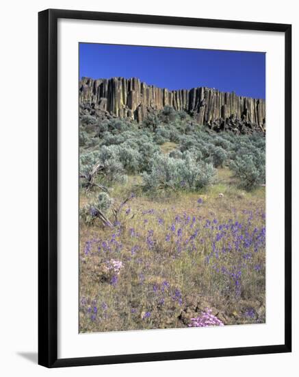 Blooming Phlox, Larkspur and Columnar Basalt, Columbia Natonal Wildlife Refuge, Washington, USA-null-Framed Photographic Print