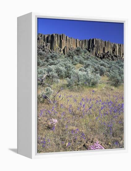 Blooming Phlox, Larkspur and Columnar Basalt, Columbia Natonal Wildlife Refuge, Washington, USA-null-Framed Premier Image Canvas
