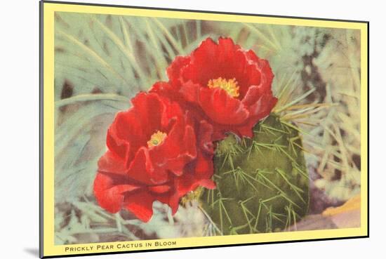 Blooming Prickly Pear Cactus-null-Mounted Art Print