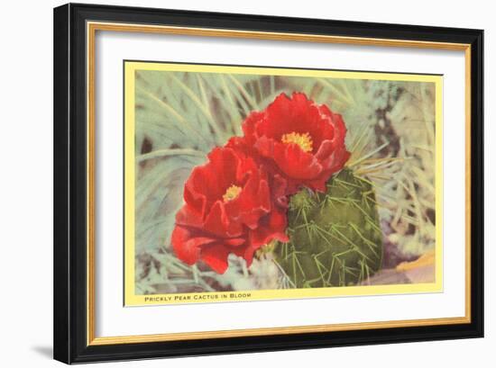 Blooming Prickly Pear Cactus-null-Framed Art Print