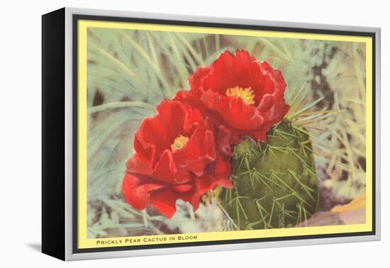 Blooming Prickly Pear Cactus-null-Framed Stretched Canvas