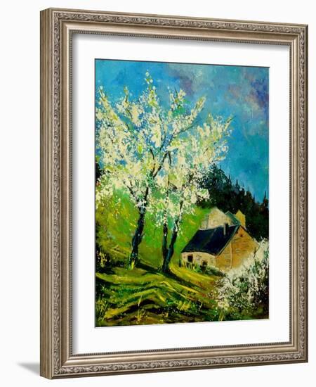 Blooming Prune Trees-Pol Ledent-Framed Art Print