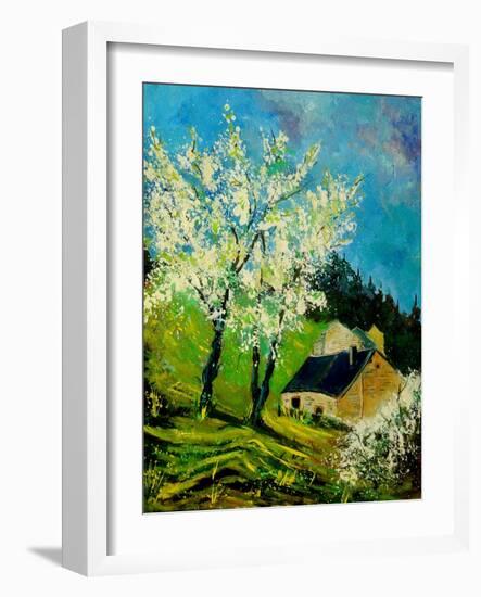 Blooming Prune Trees-Pol Ledent-Framed Art Print