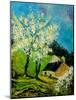 Blooming Prune Trees-Pol Ledent-Mounted Art Print