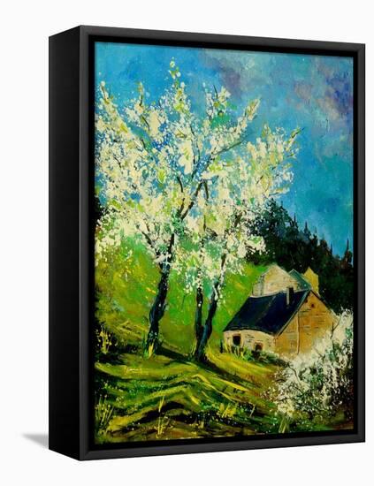 Blooming Prune Trees-Pol Ledent-Framed Stretched Canvas