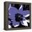 Blooming Purple-Herb Dickinson-Framed Premier Image Canvas