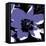 Blooming Purple-Herb Dickinson-Framed Premier Image Canvas