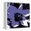 Blooming Purple-Herb Dickinson-Framed Premier Image Canvas