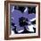 Blooming Purple-Herb Dickinson-Framed Photographic Print