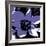 Blooming Purple-Herb Dickinson-Framed Photographic Print