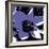 Blooming Purple-Herb Dickinson-Framed Photographic Print