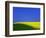 Blooming Rape Plant Field-Walter Geiersperger-Framed Photographic Print