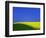 Blooming Rape Plant Field-Walter Geiersperger-Framed Photographic Print