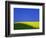 Blooming Rape Plant Field-Walter Geiersperger-Framed Photographic Print