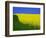 Blooming Rape Plant Field-Walter Geiersperger-Framed Photographic Print