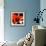 Blooming Red Hot-Herb Dickinson-Framed Photographic Print displayed on a wall