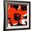 Blooming Red Hot-Herb Dickinson-Framed Photographic Print