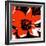 Blooming Red Hot-Herb Dickinson-Framed Photographic Print