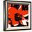 Blooming Red Hot-Herb Dickinson-Framed Photographic Print