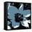 Blooming Slate Blue-Herb Dickinson-Framed Premier Image Canvas