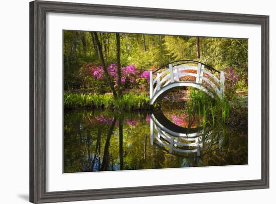 Blooming Spring Azalea Flowers Garden Nature Pond South Charleston Sc-daveallenphoto-Framed Photographic Print