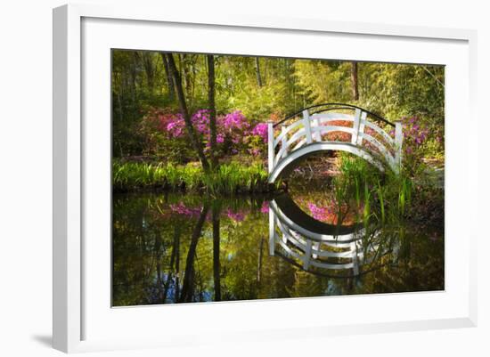 Blooming Spring Azalea Flowers Garden Nature Pond South Charleston Sc-daveallenphoto-Framed Photographic Print