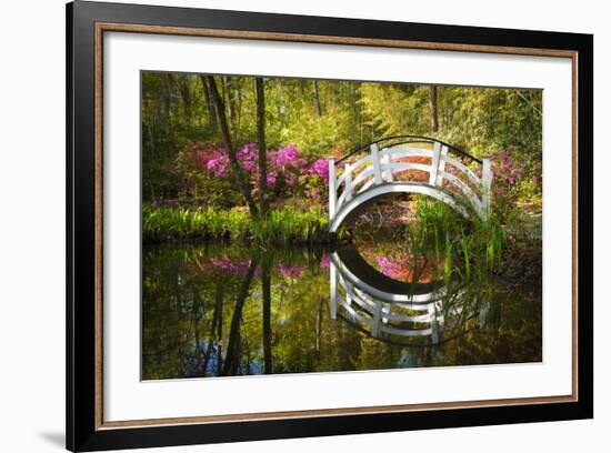 Blooming Spring Azalea Flowers Garden Nature Pond South Charleston Sc-daveallenphoto-Framed Photographic Print