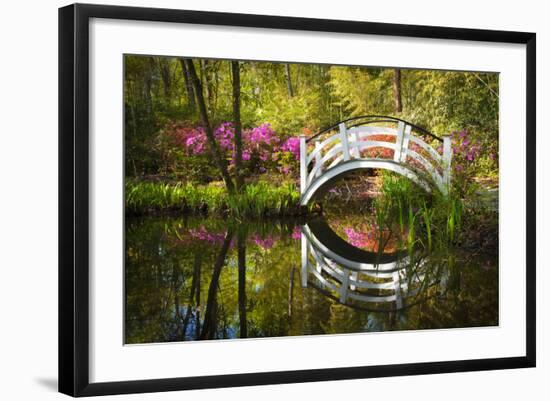 Blooming Spring Azalea Flowers Garden Nature Pond South Charleston Sc-daveallenphoto-Framed Photographic Print