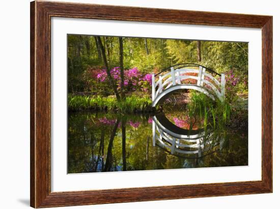 Blooming Spring Azalea Flowers Garden Nature Pond South Charleston Sc-daveallenphoto-Framed Photographic Print