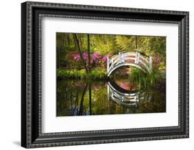 Blooming Spring Azalea Flowers Garden Nature Pond South Charleston Sc-daveallenphoto-Framed Photographic Print