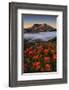 Blooming-Lydia Jacobs-Framed Photographic Print