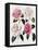 Blooms of Various Flowered Camellia-Mrs Withers-Framed Premier Image Canvas