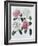 Blooms of Various Flowered Camellia-Augusta Withers-Framed Giclee Print