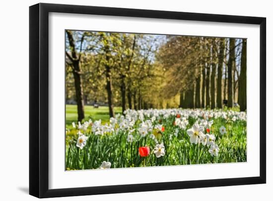 Bloomy Prairie-bdsklo-Framed Photographic Print