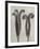 Blossfeldt Botanical II-Karl Blossfeldt-Framed Premium Photographic Print