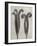 Blossfeldt Botanical II-Karl Blossfeldt-Framed Photographic Print