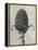 Blossfeldt Botanical IV-Karl Blossfeldt-Framed Premier Image Canvas