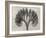 Blossfeldt Botanical VII-Karl Blossfeldt-Framed Photographic Print