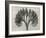 Blossfeldt Botanical VII-Karl Blossfeldt-Framed Photographic Print