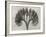Blossfeldt Botanical VII-Karl Blossfeldt-Framed Photographic Print