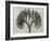 Blossfeldt Botanical VII-Karl Blossfeldt-Framed Photographic Print