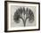Blossfeldt Botanical VII-Karl Blossfeldt-Framed Photographic Print
