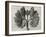 Blossfeldt Botanical VIII-Karl Blossfeldt-Framed Photographic Print