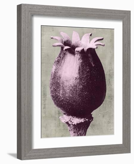 Blossfeldt Redeux I-Vision Studio-Framed Art Print