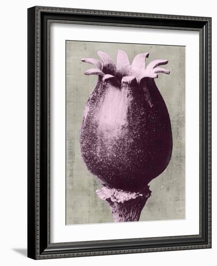 Blossfeldt Redeux I-Vision Studio-Framed Art Print