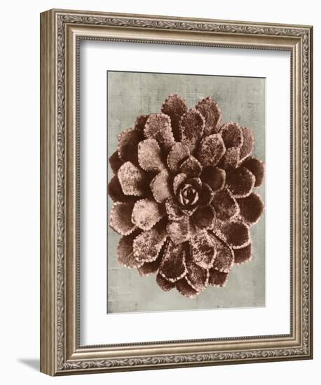 Blossfeldt Redeux II-Vision Studio-Framed Art Print