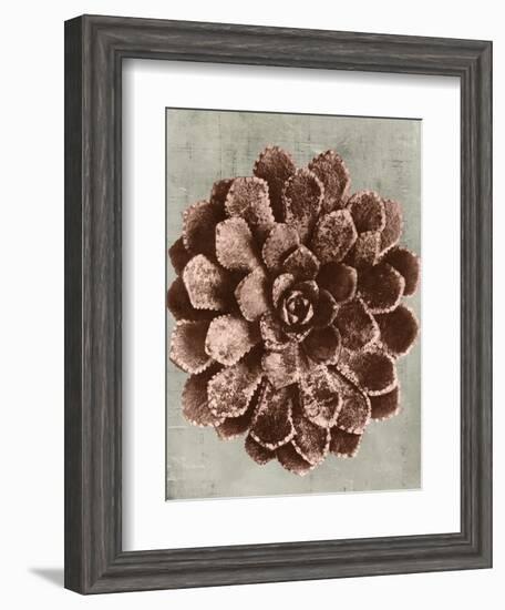 Blossfeldt Redeux II-Vision Studio-Framed Art Print