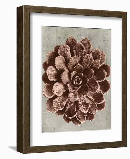 Blossfeldt Redeux II-Vision Studio-Framed Art Print