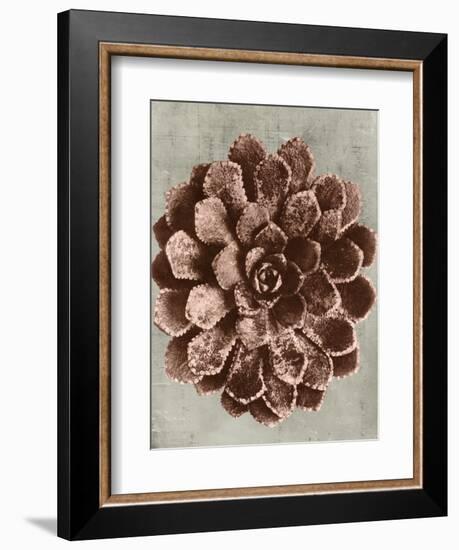 Blossfeldt Redeux II-Vision Studio-Framed Art Print